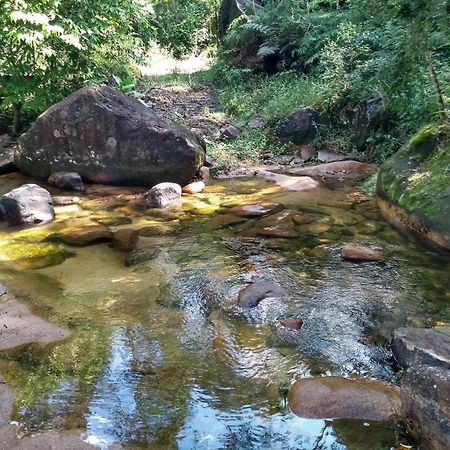 Hotel Fazenda Monte Crista Rio Bonito  Bagian luar foto