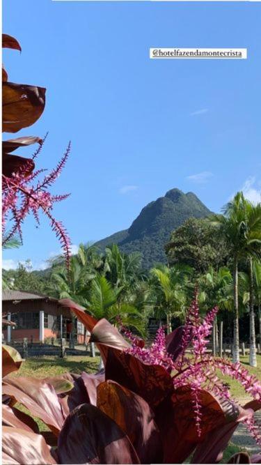 Hotel Fazenda Monte Crista Rio Bonito  Bagian luar foto